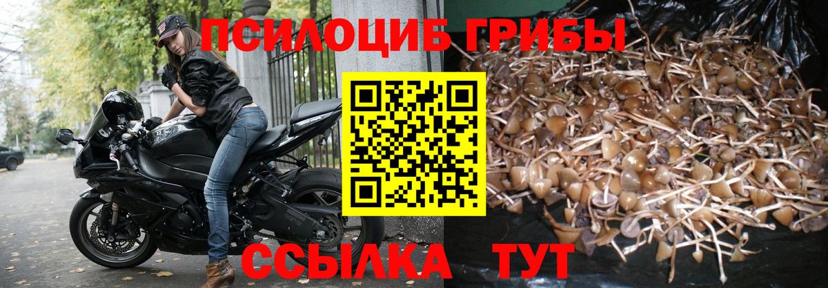 Псилоцибиновые грибы GOLDEN TEACHER  Вход с VPN  Псилоцибиновые грибы ЛСД  Дзержинск 